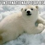 Polar Bear | HAPPY INTERNATIONAL POLAR BEAR DAY | image tagged in polar bear | made w/ Imgflip meme maker