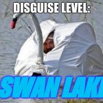 Goose disguise | DISGUISE LEVEL:; SWAN LAKE | image tagged in goose disguise | made w/ Imgflip meme maker