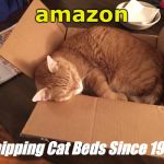 Amazon Cat Bed | amazon; Shipping Cat Beds Since 1994 | image tagged in amazon cat bed | made w/ Imgflip meme maker