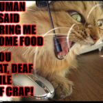 LAZY DEAF TURD | YOU FAT, DEAF PILE OF CRAP! HUMAN I SAID BRING ME SOME FOOD | image tagged in lazy deaf turd | made w/ Imgflip meme maker