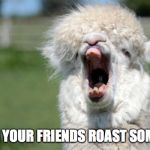 Alpaca Yawn | WHEN YOUR FRIENDS ROAST SOMEONE | image tagged in alpaca yawn | made w/ Imgflip meme maker