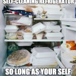 Refridgerators blues | THIS IS A SELF-CLEANING REFRIGERATOR; SO LONG AS YOUR SELF HELPS KEEP IT THAT WAY | image tagged in refridgerators blues | made w/ Imgflip meme maker