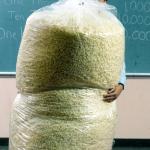 Giant bag of popcorn