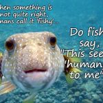 questioning fish | When something is not quite right, humans call it 'fishy'... Do fish say, "This seems 'humany', to me"? | image tagged in questioning fish | made w/ Imgflip meme maker