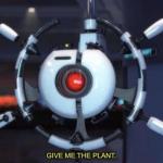 give me the plant