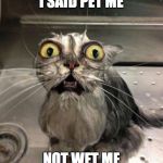 Astonished Wet Cat | I SAID PET ME; NOT WET ME | image tagged in astonished wet cat | made w/ Imgflip meme maker