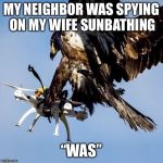 Benefits of learning falconry | MY NEIGHBOR WAS SPYING ON MY WIFE SUNBATHING; “WAS” | image tagged in eagle and drone,peeping tom,neighbor,memes | made w/ Imgflip meme maker