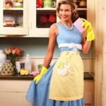 Happy House Wife | A CLEAN HOUSE IS THE SIGN OF A GOOD HOUSEWIFE | image tagged in happy house wife | made w/ Imgflip meme maker