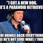 Every morning I get up and make instant coffee and I drink it so I have the energy to make real coffee. | "I GOT A NEW DOG. HE’S A PARANOID RETRIEVER. HE BRINGS BACK EVERYTHING BECAUSE HE’S NOT SURE WHAT I THREW HIM. | image tagged in steven wright,memes,funny memes,jokes | made w/ Imgflip meme maker