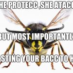 Scumbag Wasp | SHE PROTECC ,SHE ATACC, BUT MOST IMPORTANTLY, SHE STING YOUR BACC TO HELL | image tagged in scumbag wasp | made w/ Imgflip meme maker