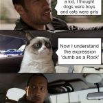 The Rock Driving Grumpy Cat | When I was a kid, I thought dogs were boys and cats were girls; Now I understand the expression 'dumb as a Rock' | image tagged in the rock driving grumpy cat,memes,sayings,funny | made w/ Imgflip meme maker