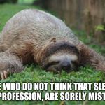Sleeping sloth | THOSE WHO DO NOT THINK THAT SLEEPING IS A PROFESSION, ARE SORELY MISTAKEN | image tagged in sleeping sloth | made w/ Imgflip meme maker