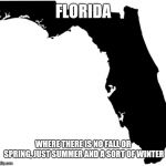 No spring or fall, just fricking summer  | FLORIDA; WHERE THERE IS NO FALL OR SPRING, JUST SUMMER AND A SORT OF WINTER | image tagged in florida | made w/ Imgflip meme maker