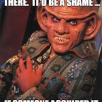 Quark acquires your meme | NICE MEME YOU POSTED THERE.  IT'D BE A SHAME ... IF SOMEONE ACQUIRED IT; S SHEPARD | image tagged in quark,star trek,ds9,rules of acquisition,meme,stolen meme | made w/ Imgflip meme maker