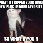 Smug cat knife | SO WHAT IF I RIPPED YOUR FAVORITE PILLOW PLUS IM MUM FAVORITE CAT; SO WHAT IF YOU R | image tagged in smug cat knife | made w/ Imgflip meme maker