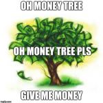 money tree | OH MONEY TREE; OH MONEY TREE PLS; GIVE ME MONEY | image tagged in money tree | made w/ Imgflip meme maker