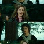 Harry Hermione