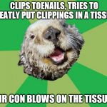 Aarrrgghh!! | CLIPS TOENAILS, TRIES TO NEATLY PUT CLIPPINGS IN A TISSUE; AIR CON BLOWS ON THE TISSUE | image tagged in ocd otter | made w/ Imgflip meme maker