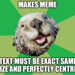 Story of my life | MAKES MEME; TEXT MUST BE EXACT SAME SIZE AND PERFECTLY CENTRED | image tagged in ocd otter | made w/ Imgflip meme maker