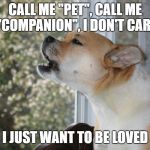 Dog barking | CALL ME "PET", CALL ME "COMPANION", I DON'T CARE; I JUST WANT TO BE LOVED | image tagged in dog barking | made w/ Imgflip meme maker