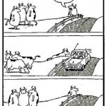 Far Side Cows Car meme