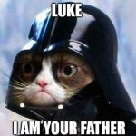 Darth Vader Cat | LUKE; I AM YOUR FATHER | image tagged in darth vader cat | made w/ Imgflip meme maker