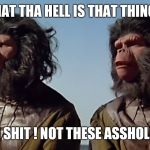 Spaceballs Apes | WHAT THA HELL IS THAT THING  ? OH SHIT ! NOT THESE ASSHOLES | image tagged in spaceballs apes | made w/ Imgflip meme maker