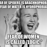 Woman winking | FEAR OF SPIDERS IS ARACHNOPHOBIA. FEAR OF WATER IS HYDROPHOBIA. FEAR OF WOMEN IS CALLED “LOGIC.” | image tagged in woman winking | made w/ Imgflip meme maker