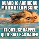 Swimming Cat | QUAND JC ARRIVE AU MILIEU DE LA PISCINE; ET QU'IL SE RAPPEL QU'IL SAIT PAS NAGER | image tagged in swimming cat | made w/ Imgflip meme maker