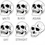 Skull Comparison meme