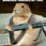 squirrel gun meme