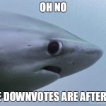 Awkward Shark | OH NO; THE DOWNVOTES ARE AFTER ME | image tagged in awkward shark | made w/ Imgflip meme maker