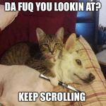 Cat with knife at dog's throat | DA FUQ YOU LOOKIN AT? KEEP SCROLLING | image tagged in cat with knife at dog's throat | made w/ Imgflip meme maker
