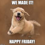 Happy Pupper Face | WE MADE IT! HAPPY FRIDAY! | image tagged in happy pupper face | made w/ Imgflip meme maker