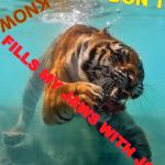Swimming Tiger | WHAT YOU DON'T; KNOW; FILLS MY JAWS WITH JOY | image tagged in swimming tiger,memes,triggered liberal,expanding brain,face you make robert downey jr,the most interesting man in the world | made w/ Imgflip meme maker