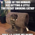 relaxed cat | IT HAS COME TO MY ATTENTION THAT SOME OF YOU HUMANS ARE GETTING A LITTLE TOO FRISKY SMOKING CATNIP; RULE #1: LEAVE MY DAMN CATNIP ALONE.







THE END. | image tagged in relaxed cat | made w/ Imgflip meme maker