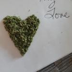 Stoner Love Story