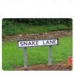 Snake Lane