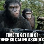 Angry Monkey | TIME TO GET RID OF THESE SO CALLED ASSHOLES | image tagged in angry monkey | made w/ Imgflip meme maker