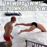 snow swimming | THE WORD "SWIMS" UPSIDE-DOWN IS STILL "SWIMS" | image tagged in snow swimming | made w/ Imgflip meme maker