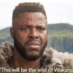 This will be the end of wakanda meme
