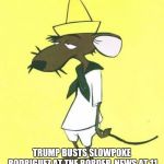 Slowpoke Rodriguez | TRUMP BUSTS SLOWPOKE RODRIGUEZ AT THE BORDER, NEWS AT 11 | image tagged in slowpoke rodriguez | made w/ Imgflip meme maker