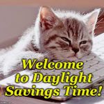 Sleepy Cat | Welcome to Daylight Savings Time! | image tagged in sleepy cat | made w/ Imgflip meme maker