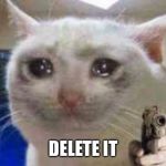 Sad cat with gun | DELETE IT | image tagged in sad cat with gun | made w/ Imgflip meme maker