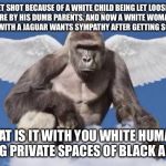 Is this zoo animal joke racist? | I GET SHOT BECAUSE OF A WHITE CHILD BEING LET LOOSE IN MY ENCLOSURE BY HIS DUMB PARENTS. AND NOW A WHITE WOMAN TRYING TO TAKE A SELFIE WITH A JAGUAR WANTS SYMPATHY AFTER GETTING SCRATCHED UP? WHAT IS IT WITH YOU WHITE HUMANS INVADING PRIVATE SPACES OF BLACK ANIMALS? | image tagged in harambe,memes,white people,black and white,gorilla,animals | made w/ Imgflip meme maker
