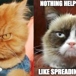 grump cat and angry cat | NOTHING HELPS A BAD MOOD; LIKE SPREADING IT AROUND | image tagged in grump cat and angry cat | made w/ Imgflip meme maker