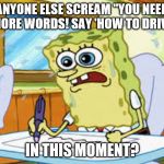 What I Learned In Boating School Is | ANYONE ELSE SCREAM "YOU NEED 3 MORE WORDS! SAY 'HOW TO DRIVE'!"; IN THIS MOMENT? | image tagged in what i learned in boating school is | made w/ Imgflip meme maker