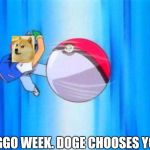 Let's go make some dog memes!  (Doggo week, a 1forpeace and Blaze_the_Blaziken event)  | DOGGO WEEK. DOGE CHOOSES YOU. | image tagged in i choose you,doggo week,memes | made w/ Imgflip meme maker