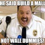 Mall Cop | HE SAID BUILD A MALL; NOT WALL DUMMIES! | image tagged in mall cop | made w/ Imgflip meme maker
