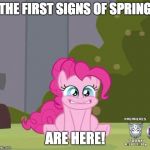 I'm excited! | THE FIRST SIGNS OF SPRING; ARE HERE! | image tagged in excited pinkie pie,memes,spring | made w/ Imgflip meme maker